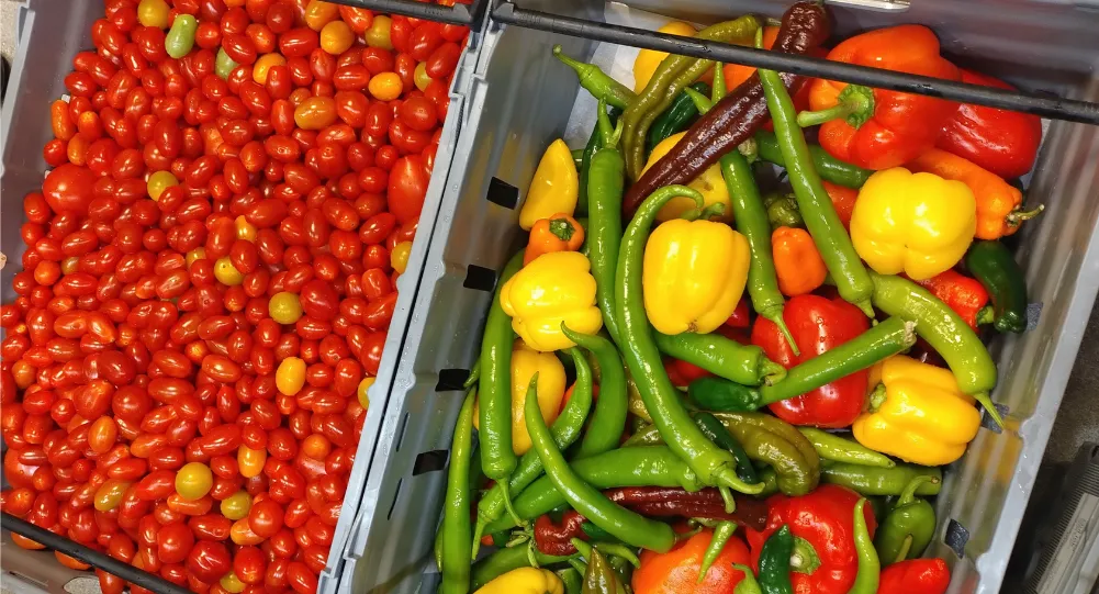 Things becoming food